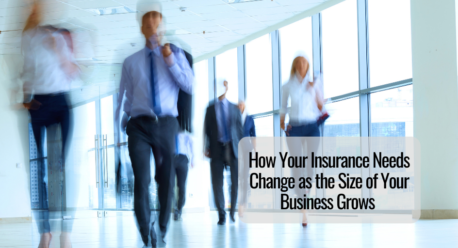How Your Insurance Needs Change as the Size of Your Business Grows 